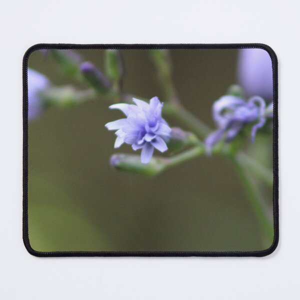 Item preview, purple flower designed and sold by Roomie301.