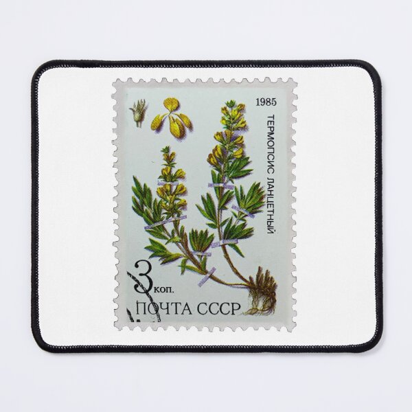 Item preview, Vintage CCCP Flowers 1985 Postage Stamp designed and sold by red-amber65.