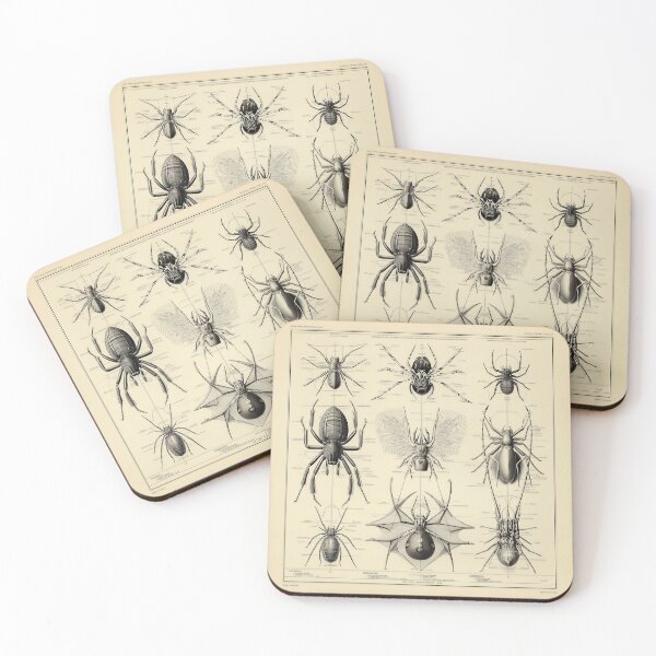 Item preview, Fantasy Scientific Spider Illustrations designed and sold by lautir.