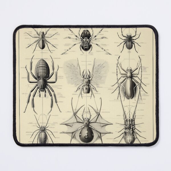 Item preview, Fantasy Scientific Spider Illustrations designed and sold by lautir.