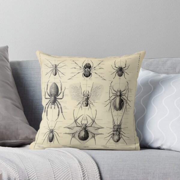 Item preview, Fantasy Scientific Spider Illustrations designed and sold by lautir.
