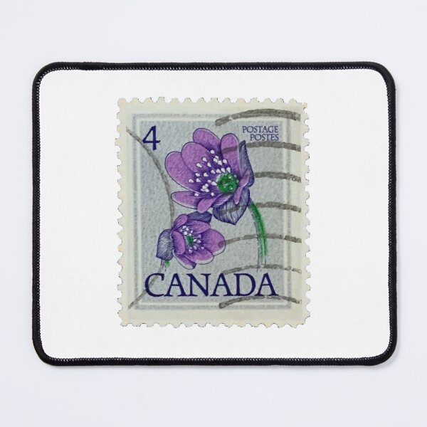 Item preview, Vintage Canadian Violet Flower Postage Stamp designed and sold by red-amber65.