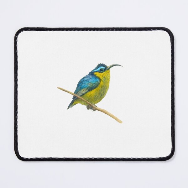 Item preview, Sunbird Asity (Neodrepanis coruscans) designed and sold by HOMETOWN86.
