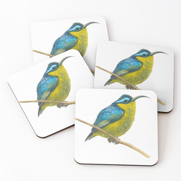 Item preview, Sunbird Asity (Neodrepanis coruscans) designed and sold by HOMETOWN86.