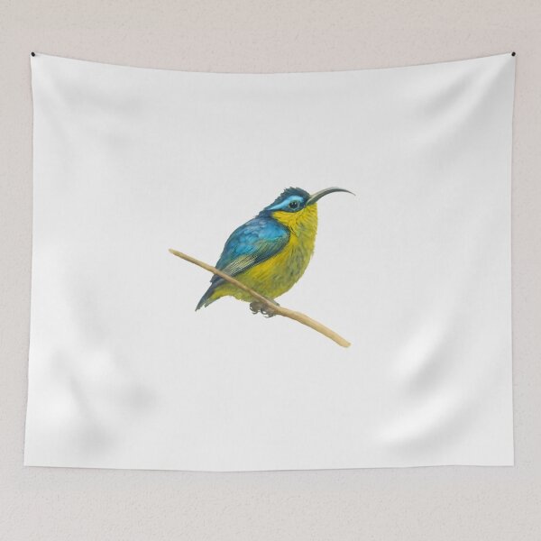 Item preview, Sunbird Asity (Neodrepanis coruscans) designed and sold by HOMETOWN86.