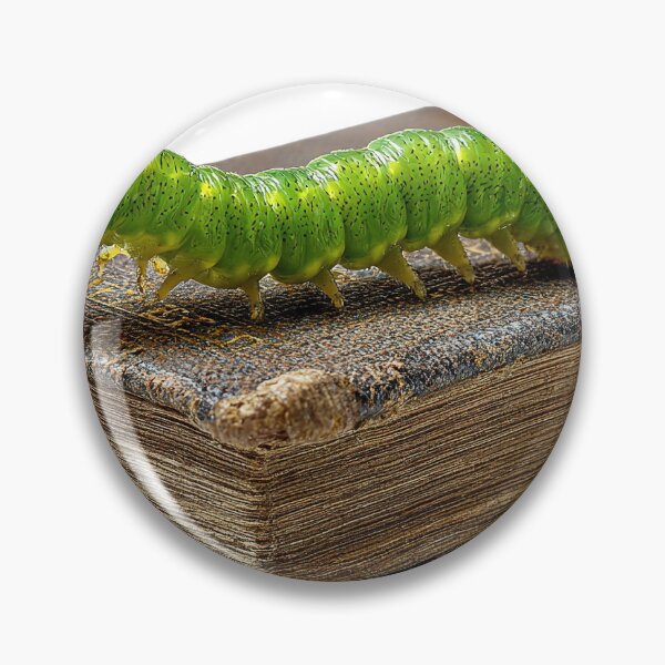 Item preview, Green worm walking on old books designed and sold by Ball-Naphat.