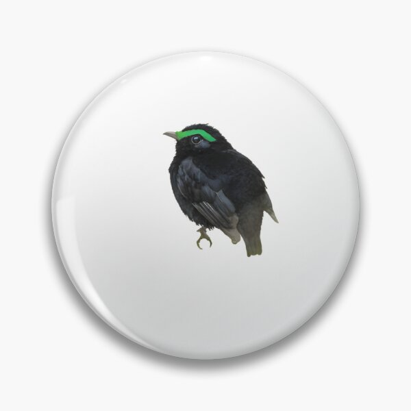 Item preview, Velvet Asity (Philepitta castanea) designed and sold by HOMETOWN86.