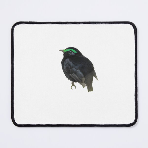 Item preview, Velvet Asity (Philepitta castanea) designed and sold by HOMETOWN86.