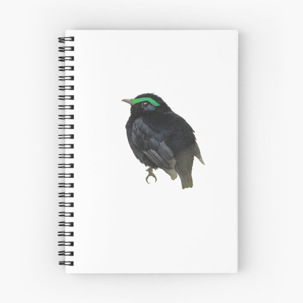 Item preview, Velvet Asity (Philepitta castanea) designed and sold by HOMETOWN86.