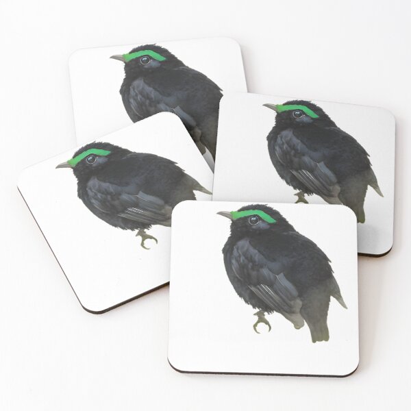 Item preview, Velvet Asity (Philepitta castanea) designed and sold by HOMETOWN86.