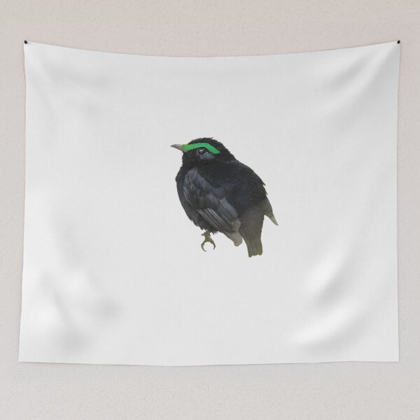 Item preview, Velvet Asity (Philepitta castanea) designed and sold by HOMETOWN86.