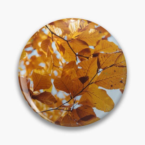 Artikelvorschau, Herbstblätter Nahaufnahme Fotoabzug entworfen und verkauft von Mother-Nature65.
