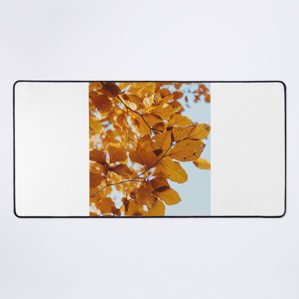 Item preview, Autumn Leaves Close Up Photographic Print designed and sold by Mother-Nature65.