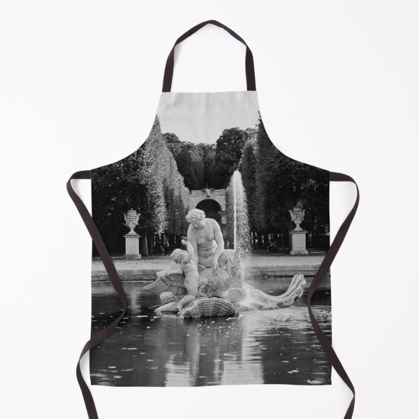 Item preview, Naiad Fountains. Schonbrunn Palace Park bw designed and sold by Jouko Lehto Photography.