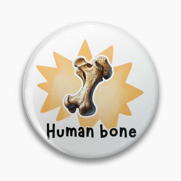 Item preview, Human bone Anatomy Illustration designed and sold by MuseGlowStudio.