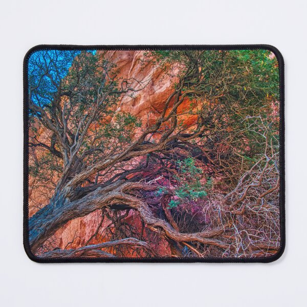 Item preview, Gnarled Tree and Red Cliffs | Dramatic HDR Nature | Wilderness Vibe designed and sold by Keltoi-art.