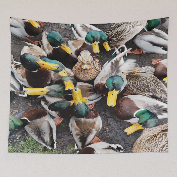 Item preview, Mallard designed and sold by ALF2023.