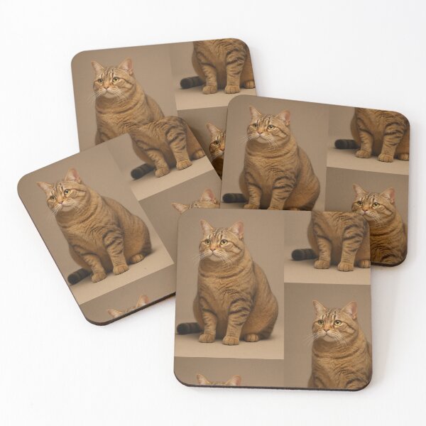 Item preview, chubby kitten designed and sold by Jhon0301.