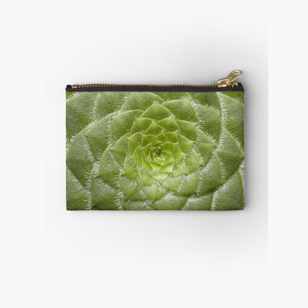 Item preview, Aeonium Tabuliforme designed and sold by christineiris.