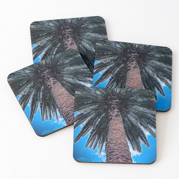 Item preview, Beautiful Palm at Victory Park - Castlemaine, Victoria, Australia designed and sold by Steven Jodoin.