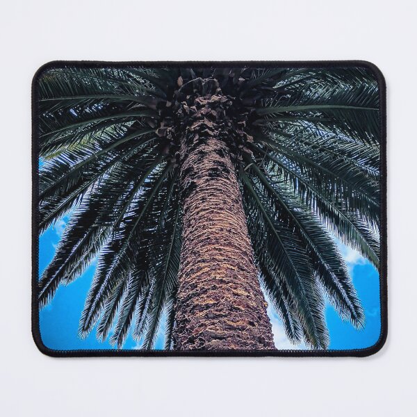 Item preview, Beautiful Palm at Victory Park - Castlemaine, Victoria, Australia designed and sold by Steven Jodoin.
