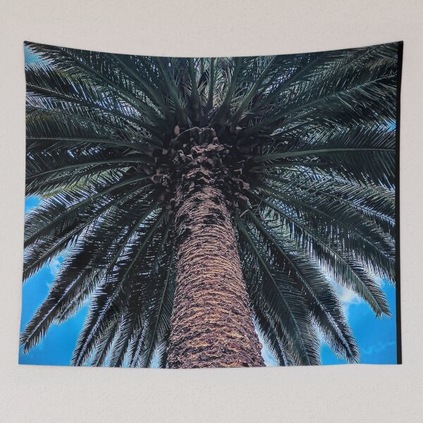 Item preview, Beautiful Palm at Victory Park - Castlemaine, Victoria, Australia designed and sold by Steven Jodoin.