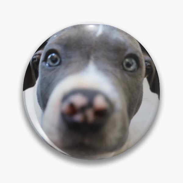 Item preview, Ford the Doggo designed and sold by varnz12.