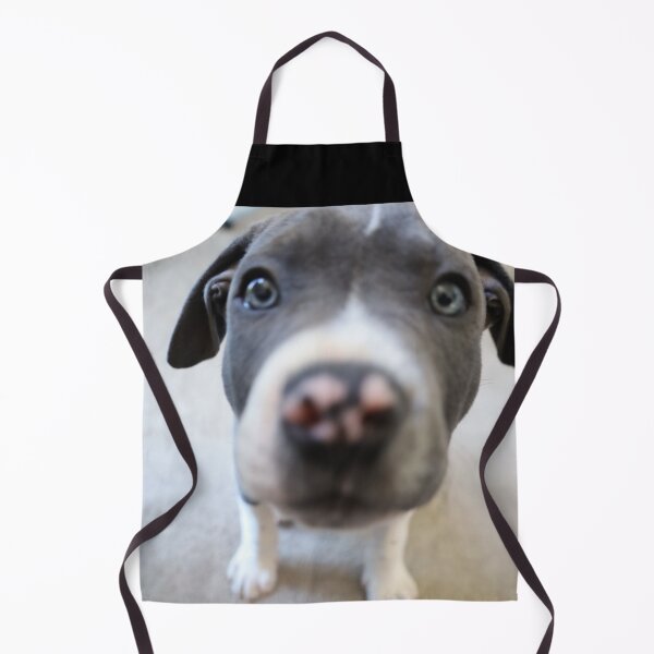 Item preview, Ford the Doggo designed and sold by varnz12.