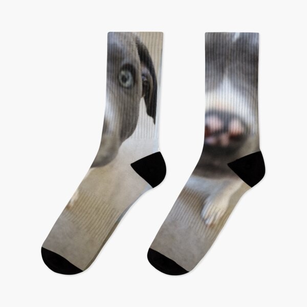 Item preview, Ford the Doggo designed and sold by varnz12.