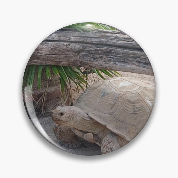 Item preview, Large tortoise walking around the park in Japan designed and sold by Ribster13.