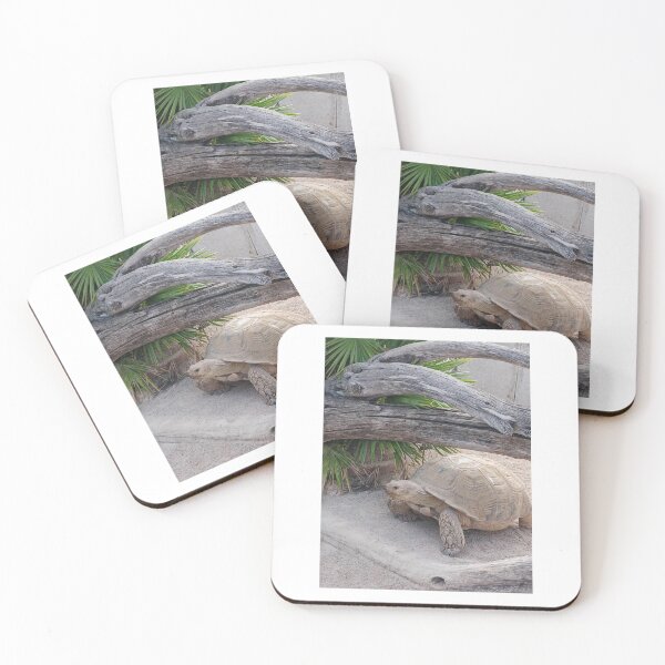 Item preview, Large tortoise walking around the park in Japan designed and sold by Ribster13.