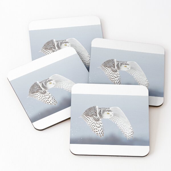 Item preview, Snowy owl liftoff designed and sold by James Cumming.
