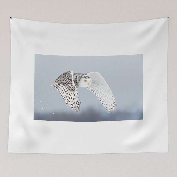 Item preview, Snowy owl liftoff designed and sold by James Cumming.