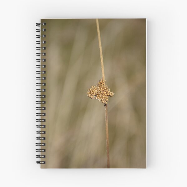 Item preview, DRIED GRASS designed and sold by kazaroodie.