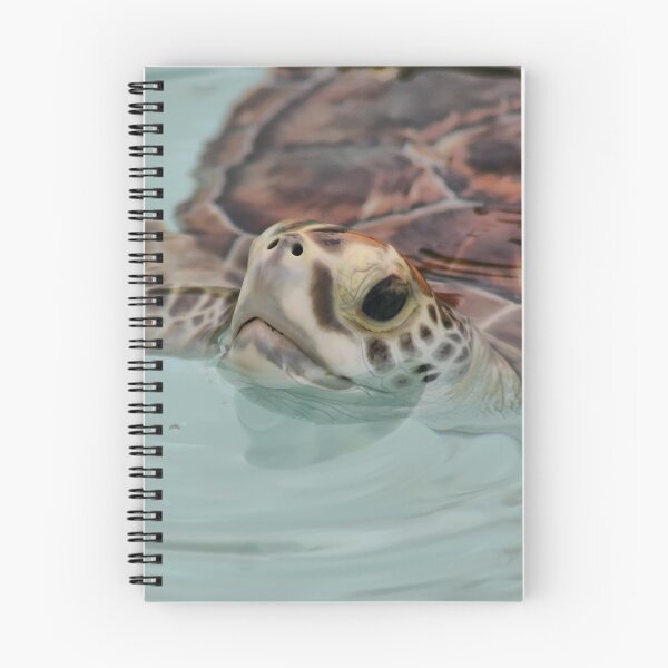 Item preview, Loggerhead Turtle designed and sold by Teresa Zieba.