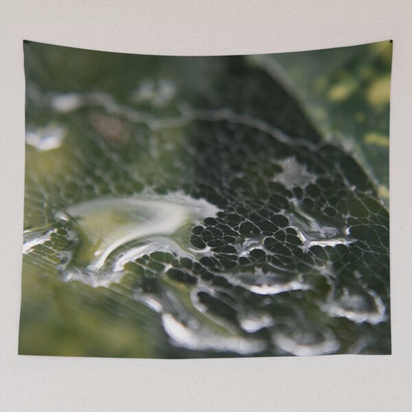 Item preview, Spider's Web designed and sold by TielTreasuresShop.