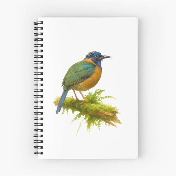 Item preview, Pitta-like Ground Roller (Atelornis pittoides) designed and sold by HOMETOWN86.