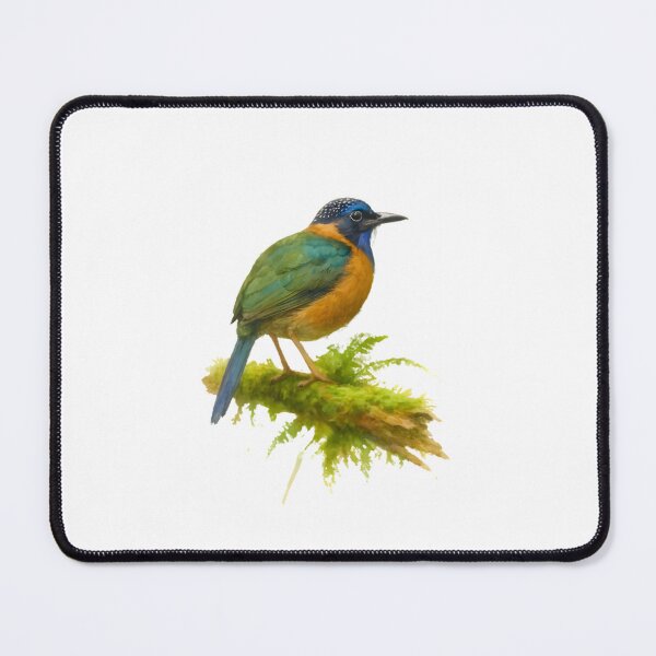 Item preview, Pitta-like Ground Roller (Atelornis pittoides) designed and sold by HOMETOWN86.