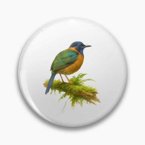Item preview, Pitta-like Ground Roller (Atelornis pittoides) designed and sold by HOMETOWN86.