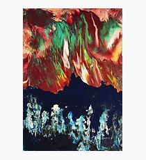 Wonderland Winter Photographic Print