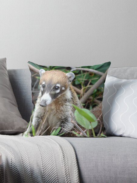 Item preview, Cute Little Coati designed and sold by Teresa Zieba.