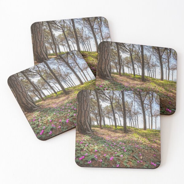 Item preview, Cyclamen flowers in the pine forest in Marina di Cecina, Tuscany, Italy designed and sold by Stefano Orazzini.