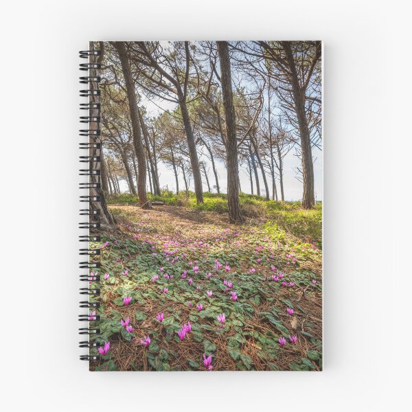 Item preview, Cyclamen flowers in the pine forest in Marina di Cecina, Tuscany, Italy designed and sold by Stefano Orazzini.