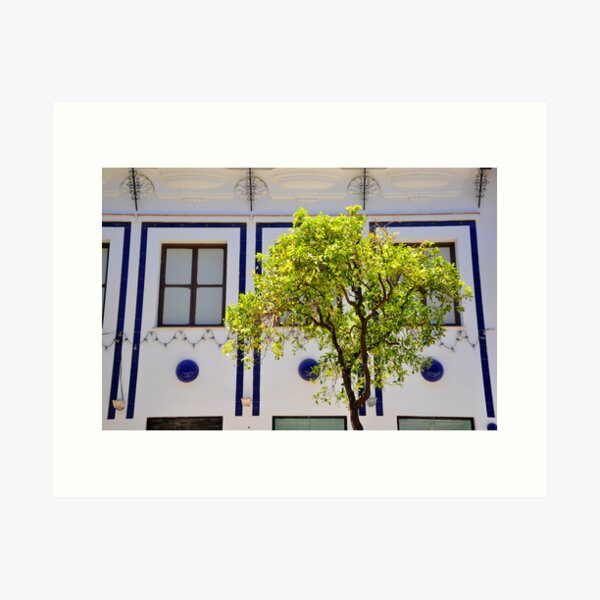 Windows at JEREZ de la FRONTERA - Andalusia - Art Print