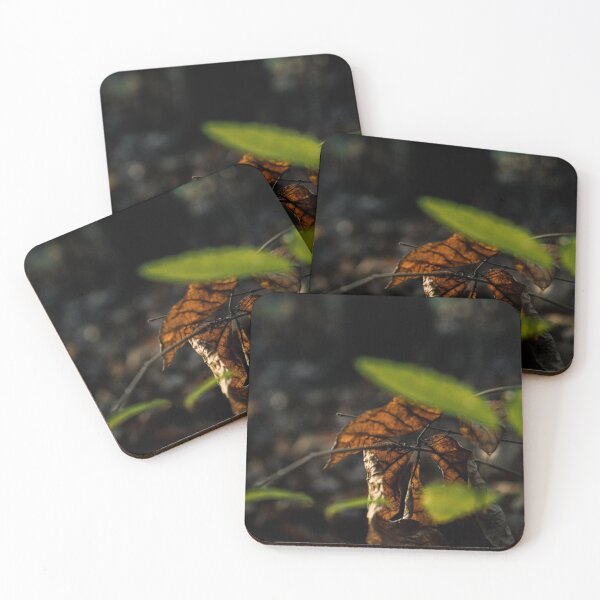 Item preview, Brown Leaf Amongst the Green designed and sold by TheySeeArtz.