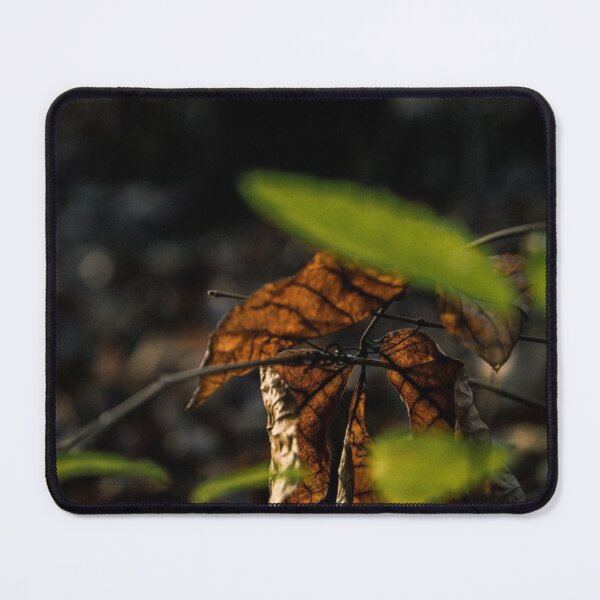 Item preview, Brown Leaf Amongst the Green designed and sold by TheySeeArtz.
