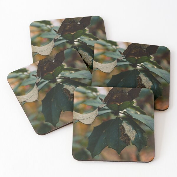 Item preview, Dying Evergreen designed and sold by TheySeeArtz.