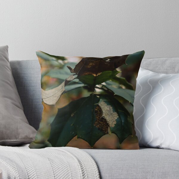 Item preview, Dying Evergreen designed and sold by TheySeeArtz.