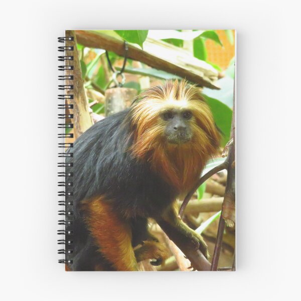 Item preview, Golden Marmoset designed and sold by wiggyofipswich.