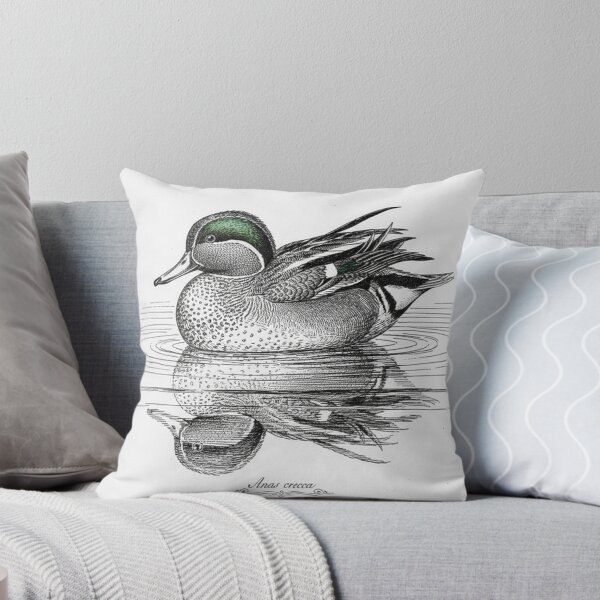 Item preview, Common Teal Duck: Anas crecca - Vintage Scientific Study designed and sold by VistaPainterArt.